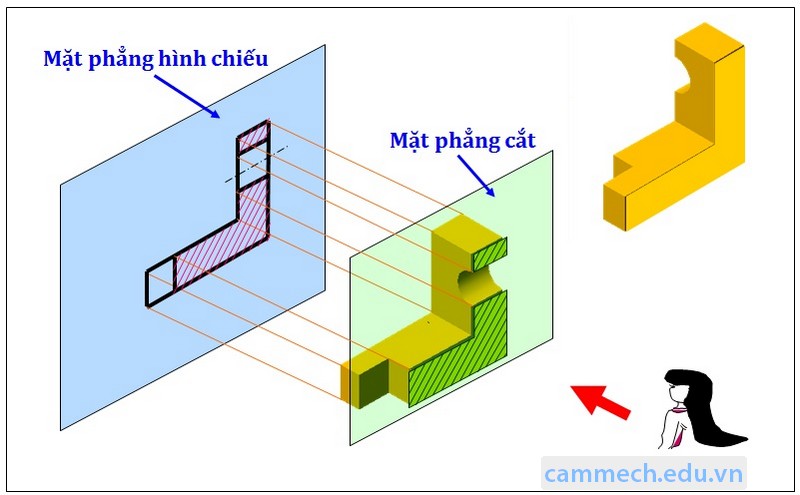 Hình Chiếu Là Gì Công Nghệ 8 Cho Ví Dụ